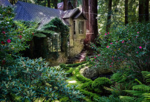 fairy-tale-house-in-the-forest